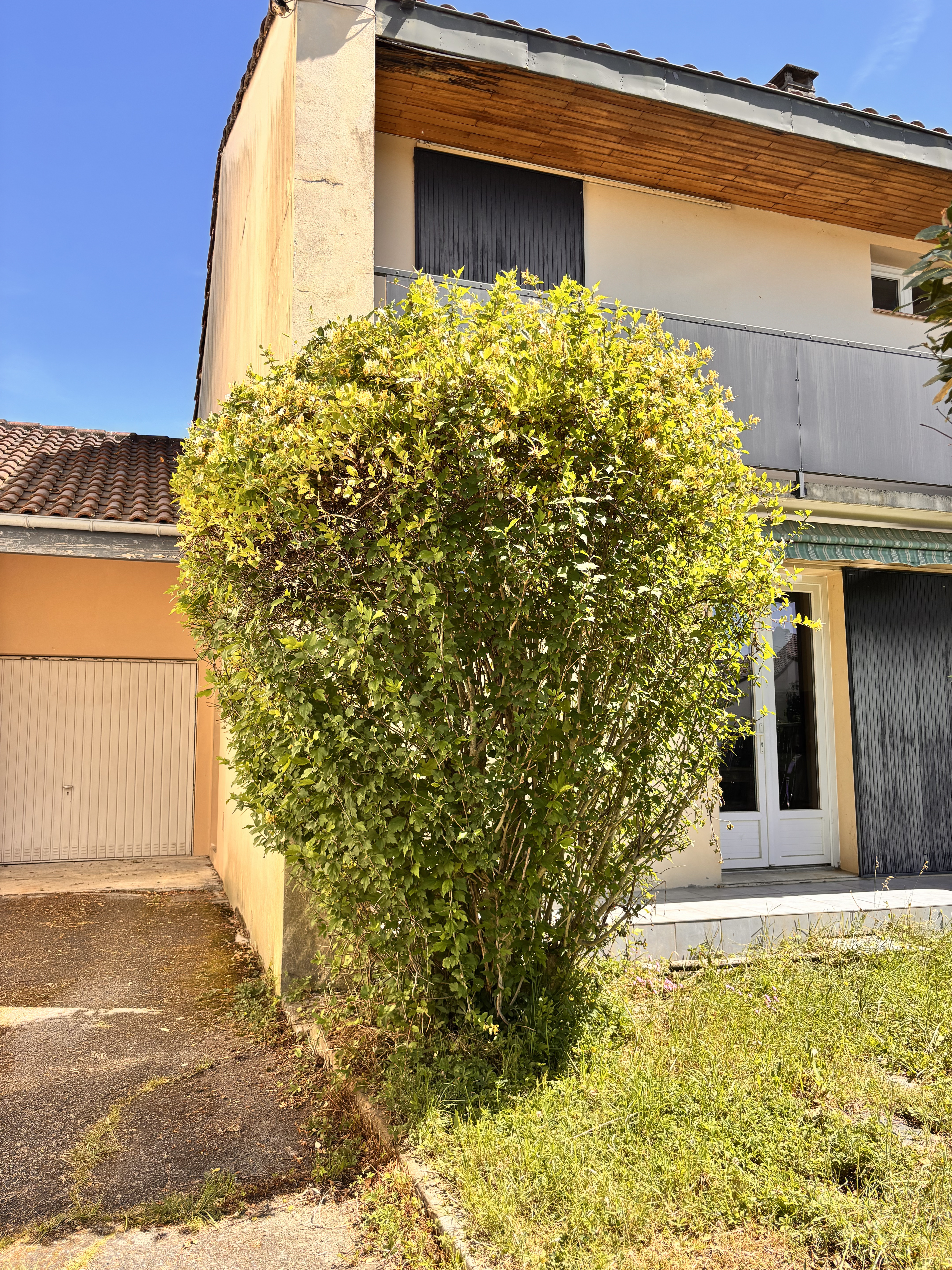 Tonte de pelouse à Tarbes